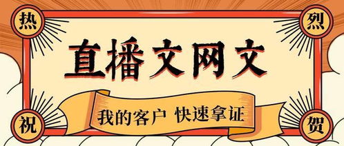 河南动漫文网文办理周期解析