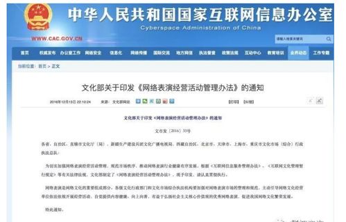 办理网络文化经营许可证的要求